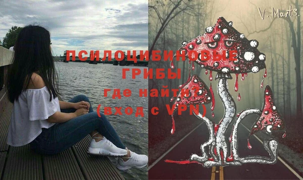 гидра Алзамай