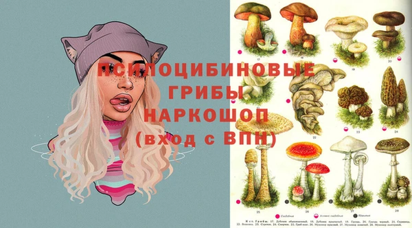 прущая мука Лабытнанги