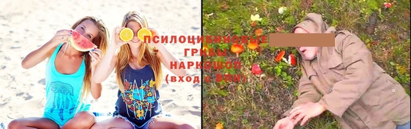 скорость Болотное