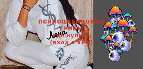 герыч Алексин
