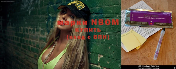 мдпв Болохово