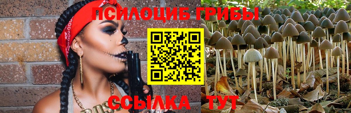 Кудымкар  Псилоцибиновые грибы GOLDEN TEACHER  Псилоцибиновые грибы Cubensis  Вход с VPN 