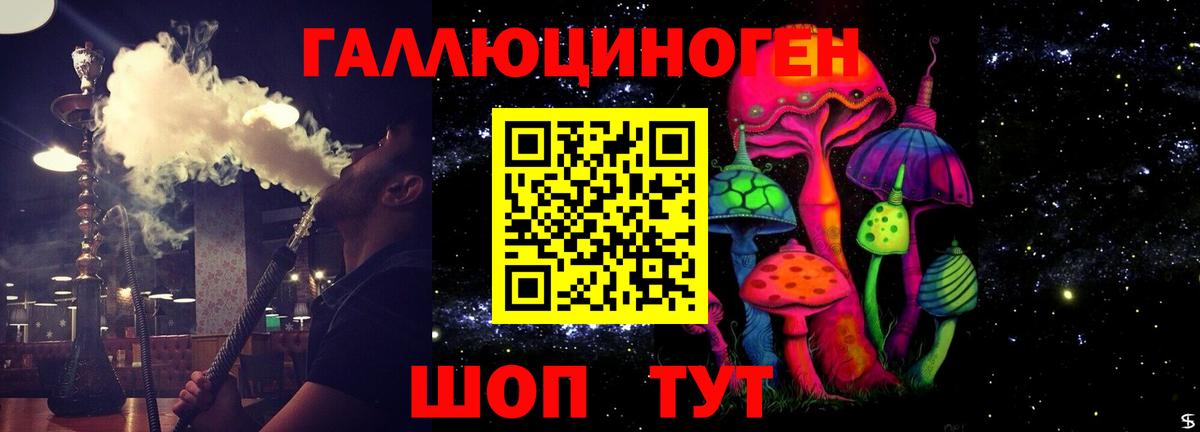 Галлюциногенные грибы Psilocybine cubensis Кудымкар
