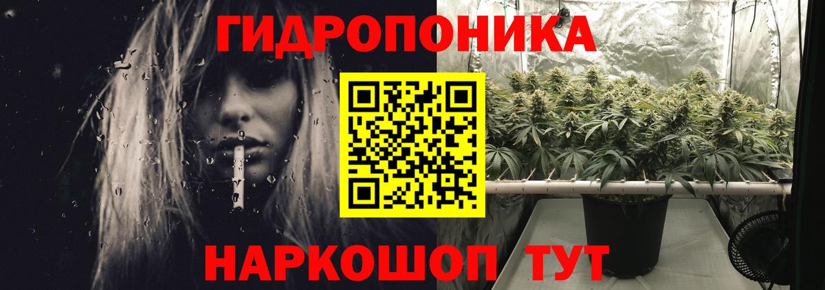 Шишки марихуана OG Kush  Каннабис семена  Бошки марихуана конопля  Вход с VPN  Кудымкар 